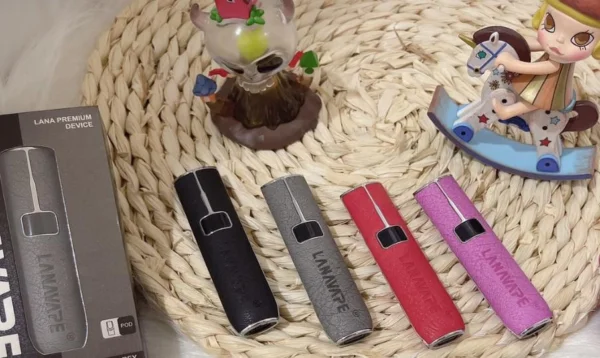 LANA 皮革主機縫線細節與皮革紋理特寫